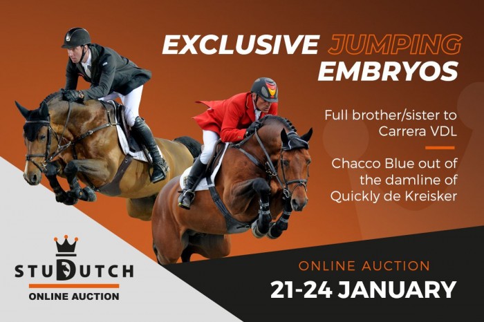 High genetic implanted jumping embryo auction!