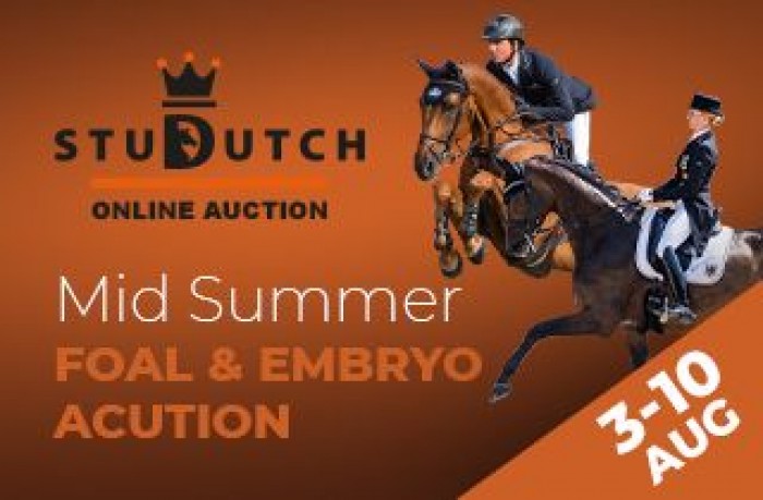 The mid summer foal en embryo collectie is online
