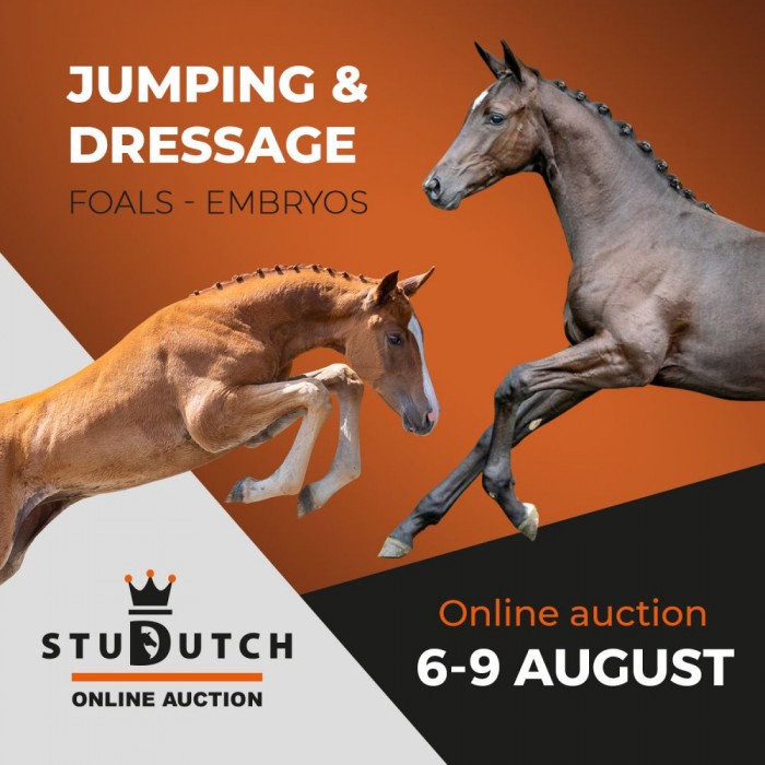 New online auction with foals and implanted embryo's!